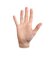 Five, hand gesture, hi and hello sign Spreading fingers, palm isolated on white background photo