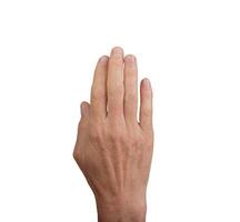 Male hand raised with open palm, showing a gesture and signal. Close up view of white, dorsal side, photo
