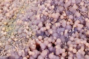 Macro stone cobalt calcite mineral on white background photo