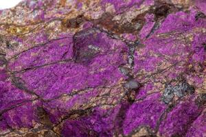 Macro mineral stone purpureus, purple purpurite in the breed a white background photo