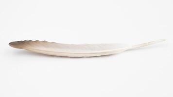 Beautiful feather on white background, natural bird feathers isolated on a white background, Single feather isolated on a light background. photo