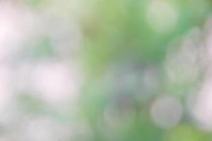 Defocused abstract background, Green bokeh on nature defocus art abstract blur background. photo
