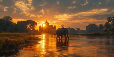 An elephant is peacefully crossing a river as the sun sets in the background photo
