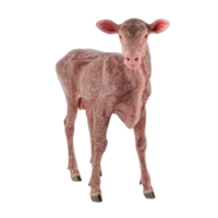 Cow Calf Standing on Transparent Background AI-Generative png