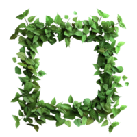 Square Frame Made of Green Leaves on Transparent Background AI-Generative png