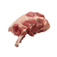 Raw Meat on Transparent Background AI-Generative png