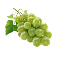 Grapes on a Branch with Leaves on Transparent Background AI-Generative png