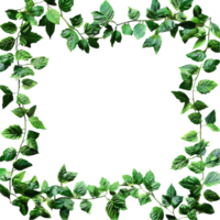 Green Ivy Leaves Frame on Transparent Background AI-Generative png