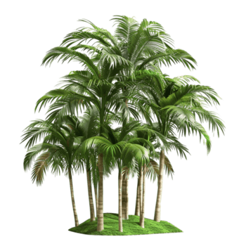 handflatan träd på transparent bakgrund ai-generativ png