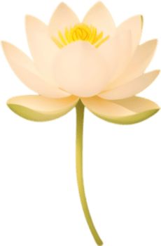 delicado loto floraciones con sereno belleza. ai-generado. png