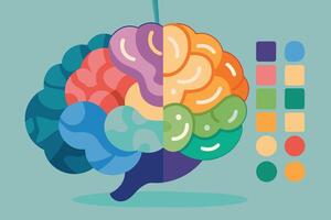 Colorful human brain illustration with sections and a matching color palette on the right. vector