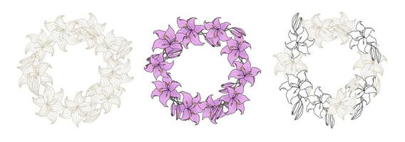 Lily flower wreath set vector