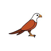 Brahminy Kite bird walks icon illustration vector