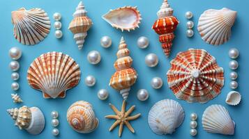Seashells and Pearls on a Blue Background photo
