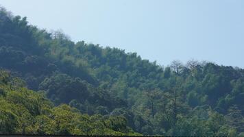 The beautiful mountains landscapes with the green bamboo forests and little country road as background in the countryside of the China photo