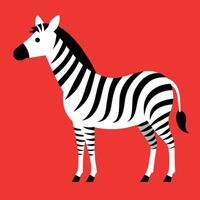 Burchells Zebra learns icon illustration vector