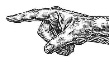 hand drawn Black and White Illustration of Pointing Hand in Vintage Engraving Style vector