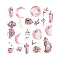 Watercolor boho moon set vector