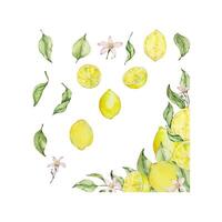 Watercolor lemon frame set with fruit, slice, leaves and flowers vector