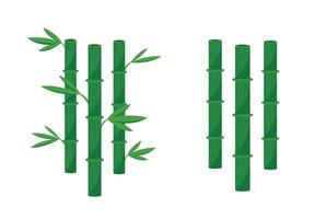 isolated bamboo on white background vector