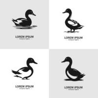 Set of Abstract Duck silhouette logo icons, with a white background for your company, the swan logo design ideas vector
