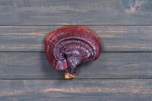 Ganoderma lucidum mushroom on wood table photo