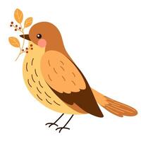 Cute bird holding branch with red autumn berries. Beautiful birdie standing with sprig of pretty plant. Colored flat illustration isolated on white background. vector
