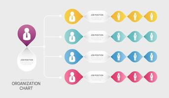 Infographic template for organization chart with business avatar icons. infographic for business. vector