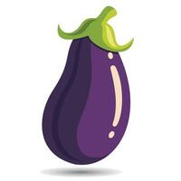 eggplant with a green stem vector