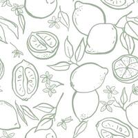 Hand drawn sketch style lemons seamless pattern. Tropical summer print for textile, packaging, wrapping paper vector