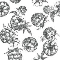 Raspberry seamless pattern. drawing. Isolated sketch of berries and leaves in engraving style on white background. Detailed line sketch, hand drawn. The background for packaging design, labels. vector