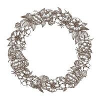 Sketch of a raspberry wreath. Round frame of years, flowers, branches and leaves on a white background. , linear illustration in the style of an old engraving. Packaging images. vector