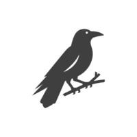 black and white minimalist Crow bird silhouette. white background vector