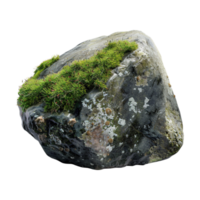 Tree Bark Moss Rock on Transparent Background png