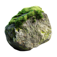 Tree Bark Moss Rock on Transparent Background png