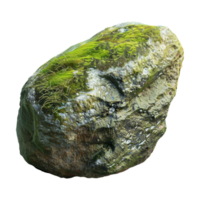 Tree Bark Moss Rock on Transparent Background png