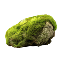 Tree Bark Moss Rock on Transparent Background png
