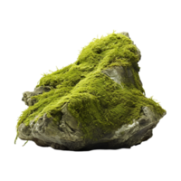 Tree Bark Moss Rock on Transparent Background png