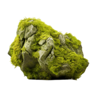 Tree Bark Moss Rock on Transparent Background png