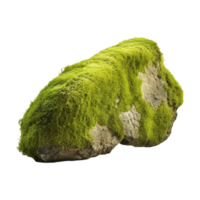 Tree Bark Moss Rock on Transparent Background png