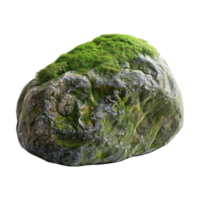 Tree Bark Moss Rock on Transparent Background png