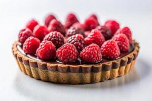 Chocolate Raspberry piece of Tart on a grey plate photo