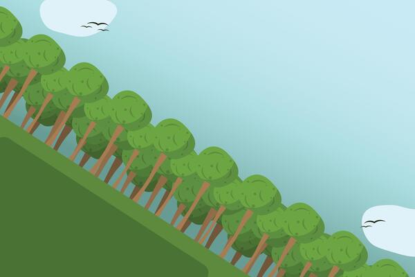 Floral border of tree branches. Forest frame tree. Wood banner trees