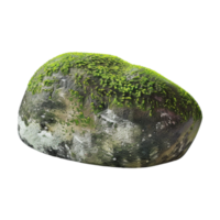 Tree Bark Moss Rock on Transparent Background png