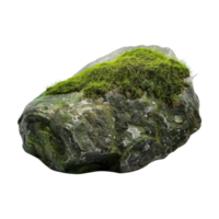 Tree Bark Moss Rock on Transparent Background png