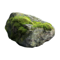 Tree Bark Moss Rock on Transparent Background png
