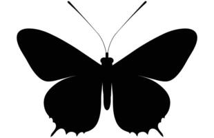 Butterfly Black Silhouette Isolated on White Background. vector