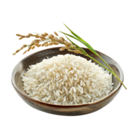 Rice in a Bowl on Transparent Background png