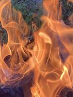 The flame of the fire burns from the wood photo