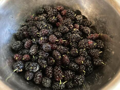 haciendo compota desde Fresco bayas y frutas foto